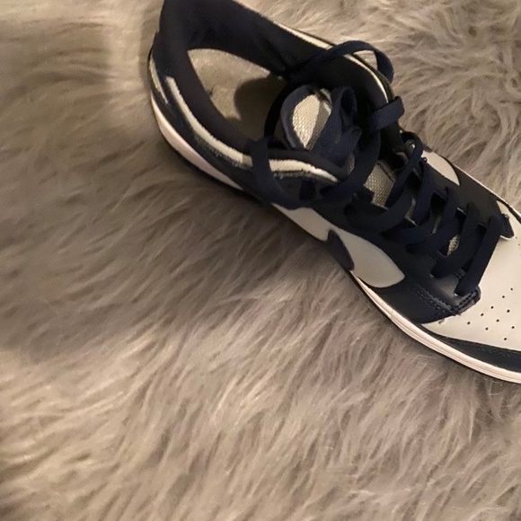 Georgetown dunks main image 2
